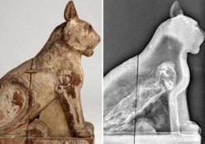 70 Million Mummified Animals in Egypt Expose Ancient Mummy Origin