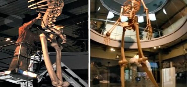 Ecuador Expose the Skeletons of an Ancient Race of Giant Humans – 7 Times Bigger Than Modern Humans