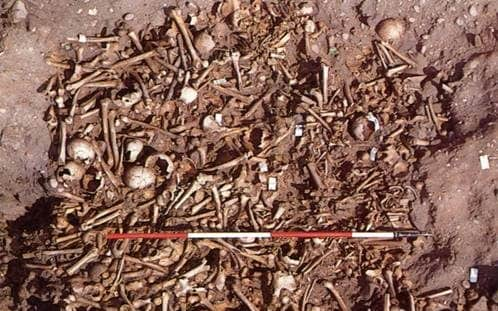 Mass grave of Viking army contained slaughtered children to help dead reach afterlife, experts believe