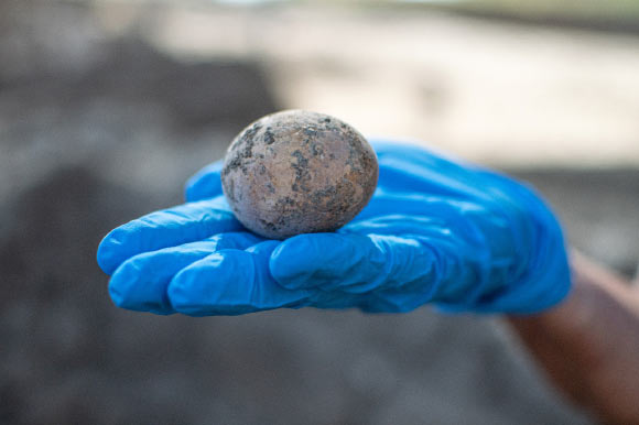 Israeli Archaeologists Find 1,000-Year-Old Intact Chicken Egg
