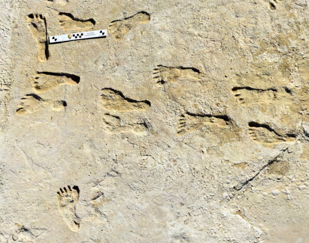 Around 23,000 years old human footprints in North America found in New Mexico