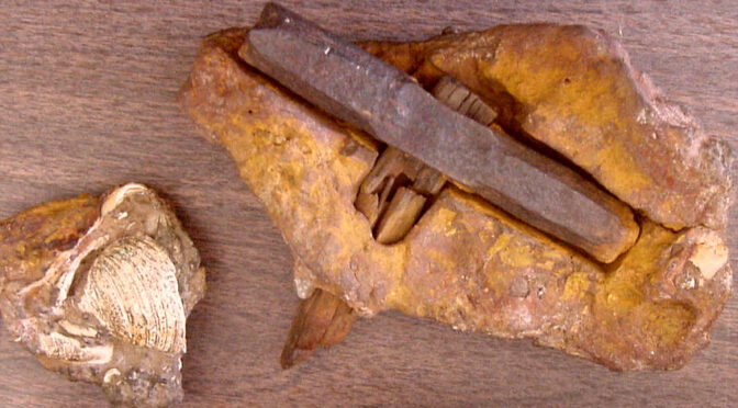 400 Million Year Old Hammer discovered In Texas The London