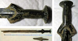 A man picking mushrooms in the Czech republic discovers a rare 3000-year-old sword