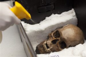 Mexico finds 50 skulls in a sacred Aztec temple