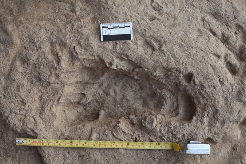 1.5-Million-Year-Old Footprints Reveal Human Ancestor Walked Like Us