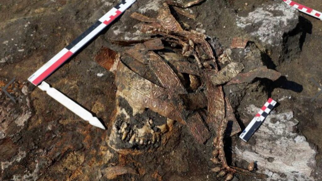 DNA shows Scythian warrior mummy was a 13-year-old girl