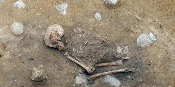 ‘Lady Of Bietikow’ May Have Died Of A Tooth Infection 5,000 Years Ago