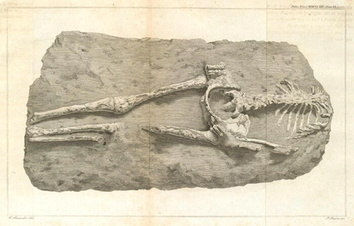 The Guadeloupe Woman: Is it a 15th century or 28 Million Year Old Skeleton?