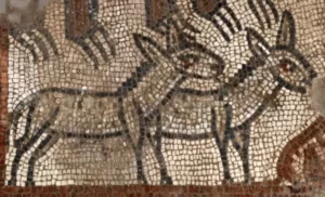 Rare Noah's Ark Mosaic Uncovered in Ancient Synagogue in Israel