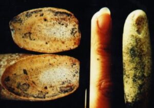 This Should Not Exist: A 100-Million-Year-Old Fossilized Human Finger