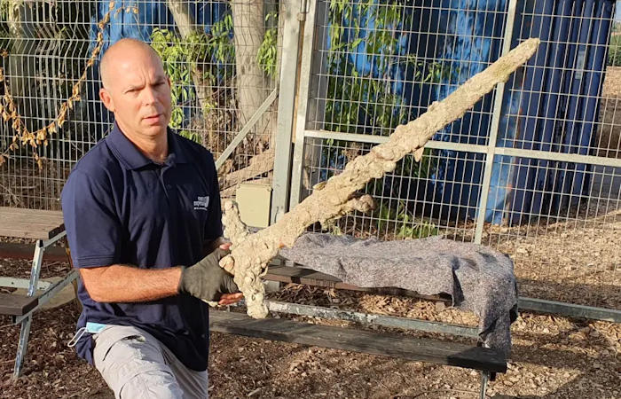 A 900-Year-Old Crusader Sword Discovered Off The HaCarmel Coast, Israel