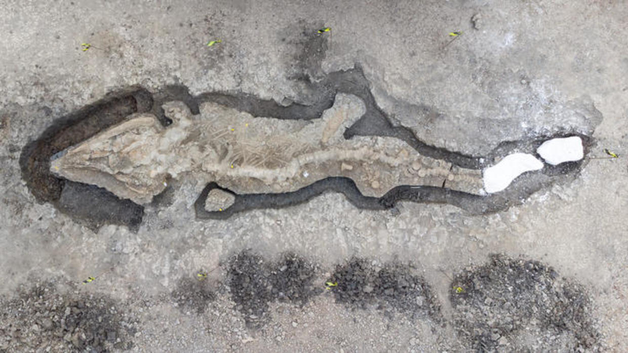 “Incredibly rare” 180-million-year-old giant “sea dragon” fossil discovered in the U.K.