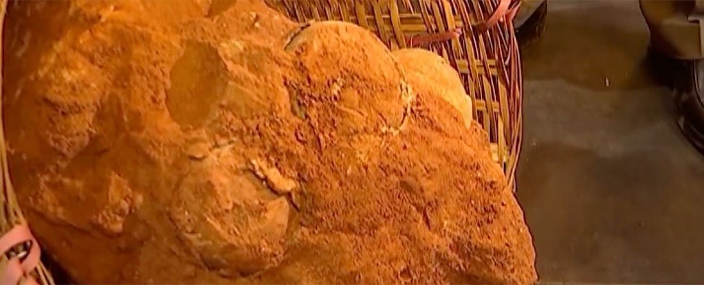70 Million-Year-Old Dinosaur Egg Fossils Have Been Discovered in China
