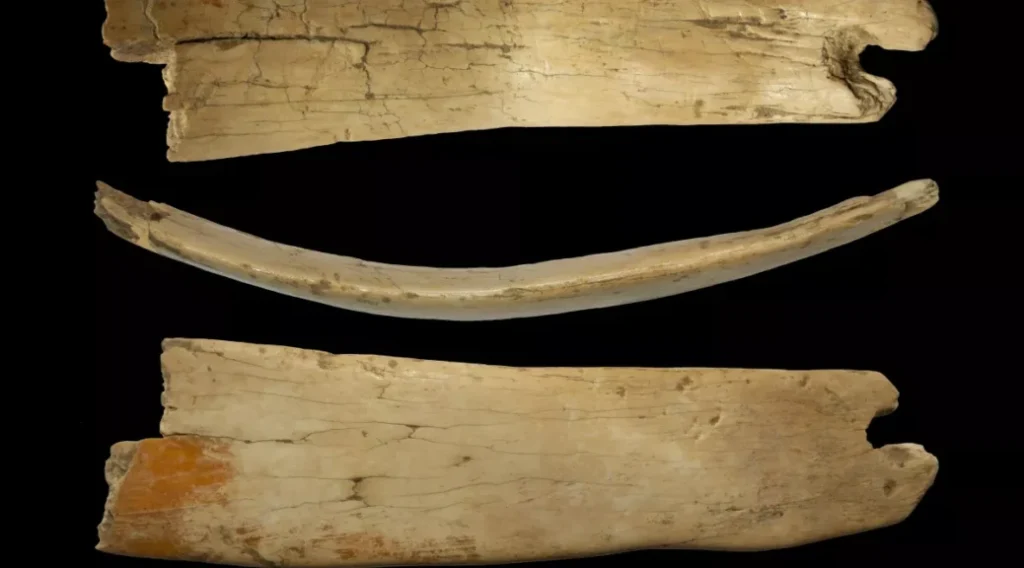50,000-Year-Old Tiara Made from Woolly Mammoth Ivory Found in Denisova Cave