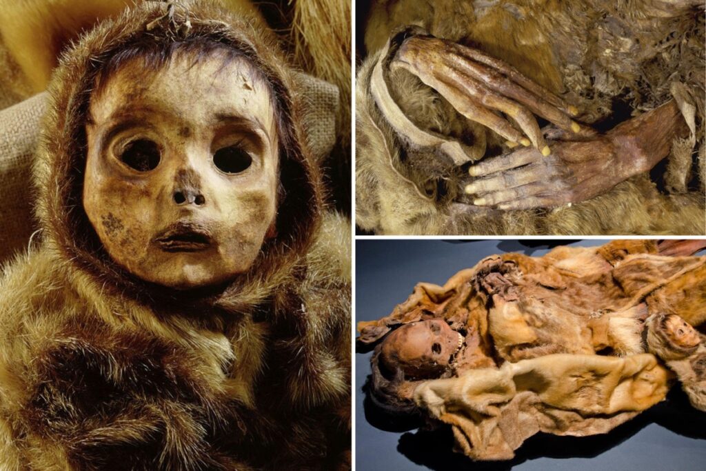 Cats and babies: Thousand-year-old mummies in Turkey’s Aksaray