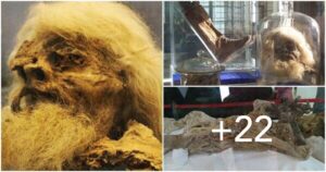Preserved by Nature: Studying the Spectacular Salt Mummies of Iran