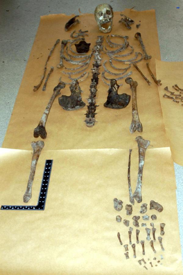 What were remains of 1,000-year-old African skeleton doing in England?