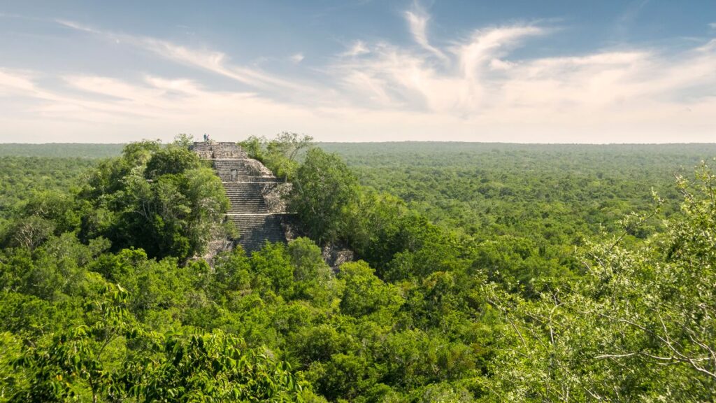 A 15-year-old boy discovers a lost ancient Mayan city