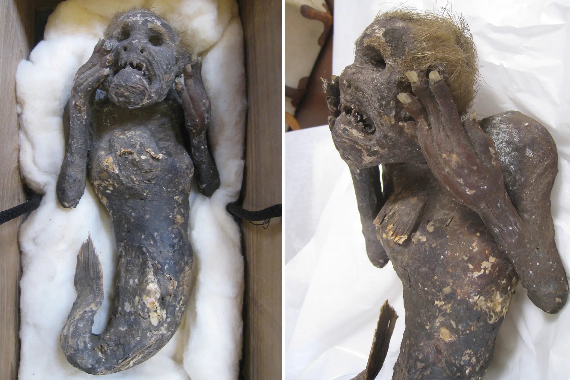 Mystery of a 300-year-old mummified ‘mermaid’ with ‘human face’ and tail has baffled scientists