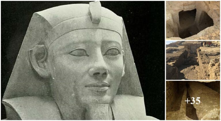 800 Ancient Egyptian Tombs Discovered At Middle Kingdom Necropolis Ann 6116