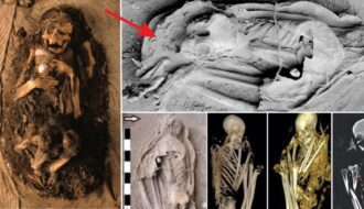 The Tuli Mummy: A Remarkable Discovery of Botswana’s Greatest Ancient Mummified Ever Found