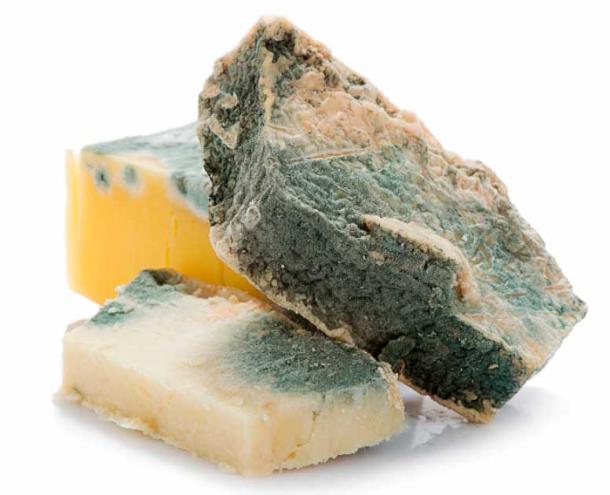 2,600-Year-Old Halloumi Cheese Uncovered in Saqqara, Egypt