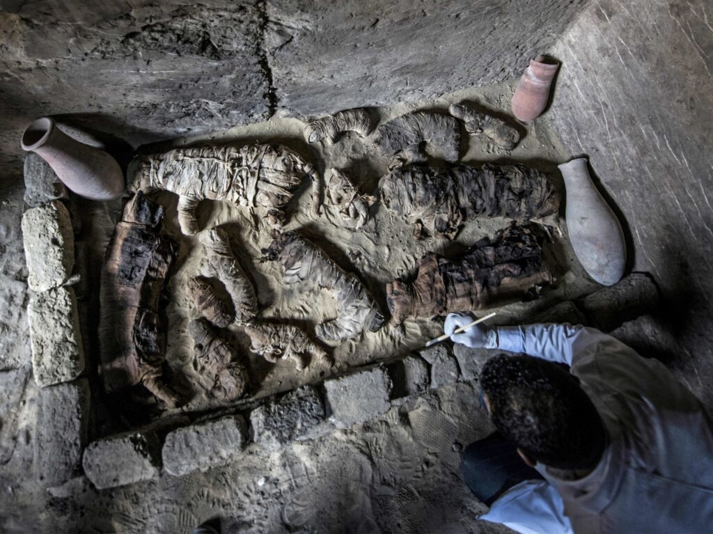 Massive hoard of mummified cats and other animals found in ancient Egyptian tombs